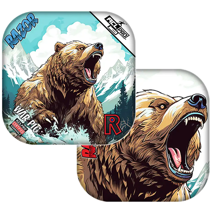 Bear-themed Cornhole bags with a mountain and snow design on a white background