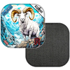 Alaskan Dall Sheep / Black