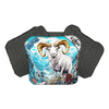 Alaskan Dall Sheep / Black