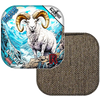 Alaskan Dall Sheep / Brown