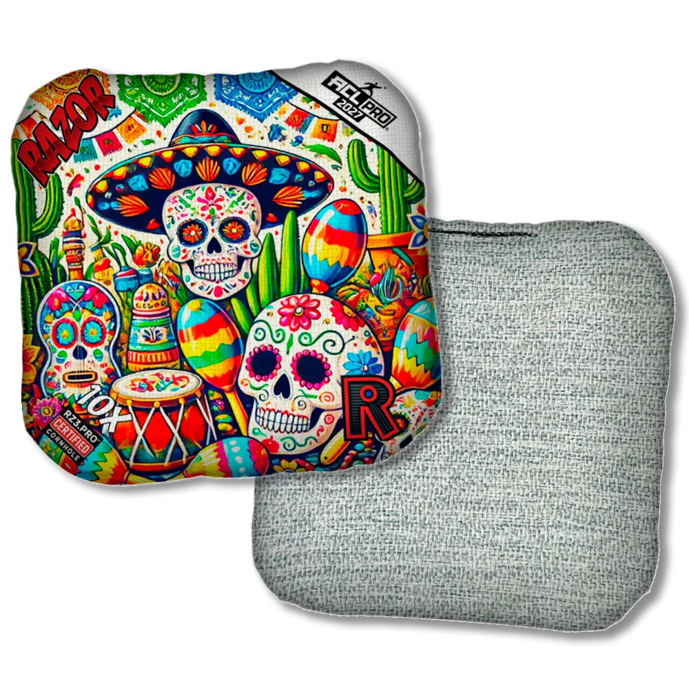 10 X PRO Fiesta Light Back Product View