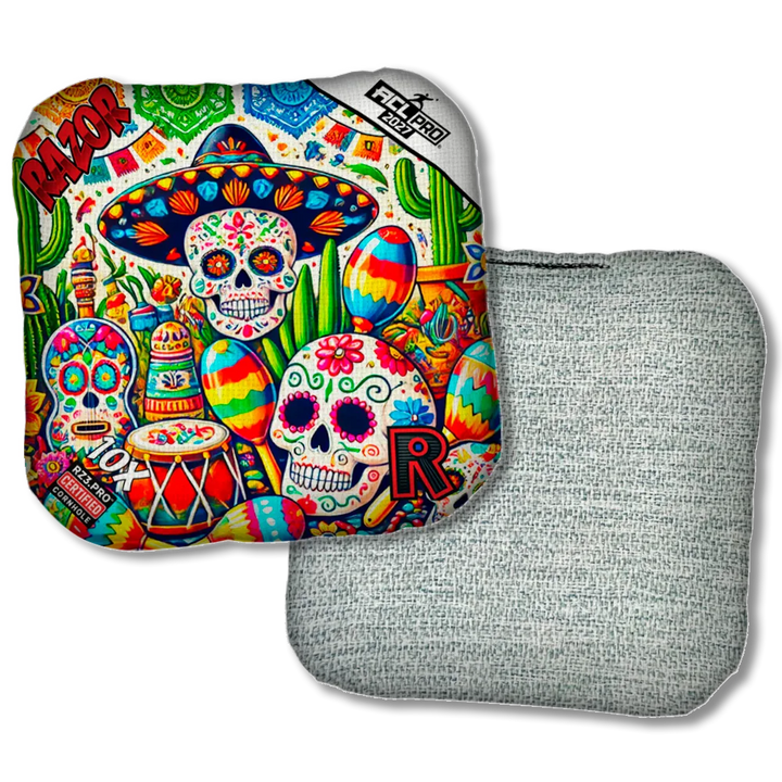 10 X PRO Fiesta Light Back Product View
