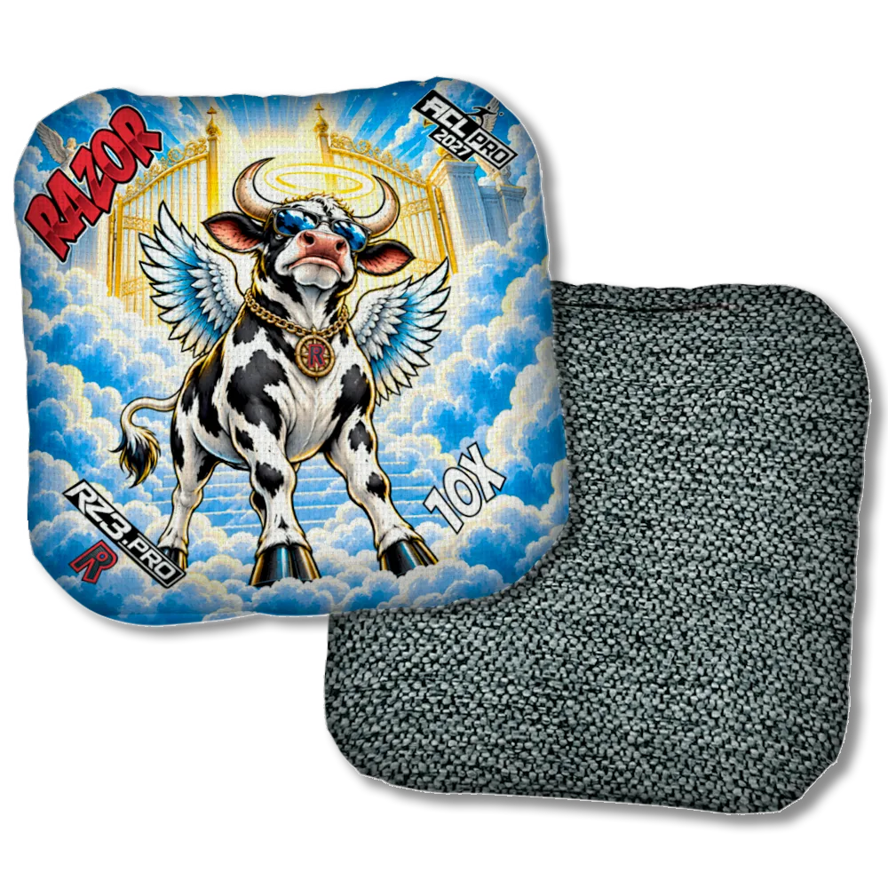 10 X PRO Holy Cow DKGray Back Product View