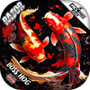 Koi