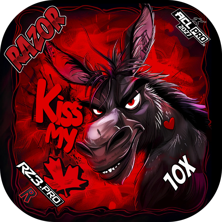 10 X PRO Kiss My Maple Cornhole Bags