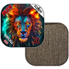 Lion Cosmos / Brown