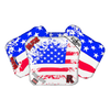 Flag Merica