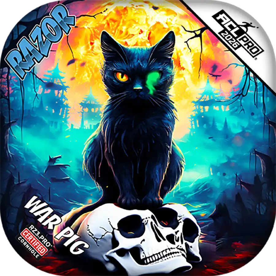 Colorful Cornhole bags with a black cat, skull, and fiery background