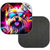 Yorkie / Black