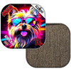 Yorkie / Brown