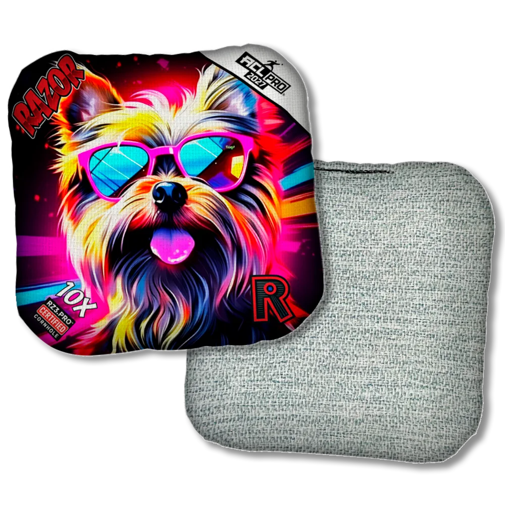 10 X PRO Yorkie Light Back Product View