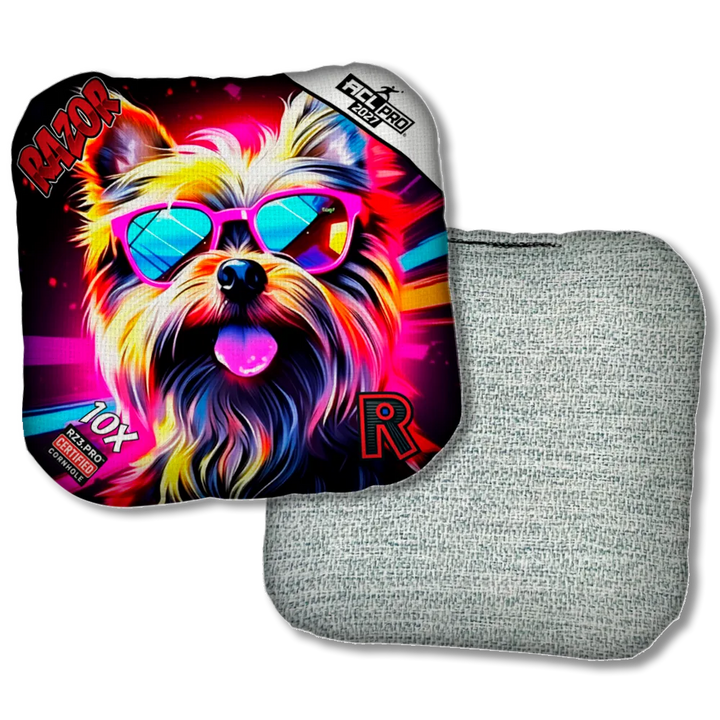 10 X PRO Yorkie Light Back Product View