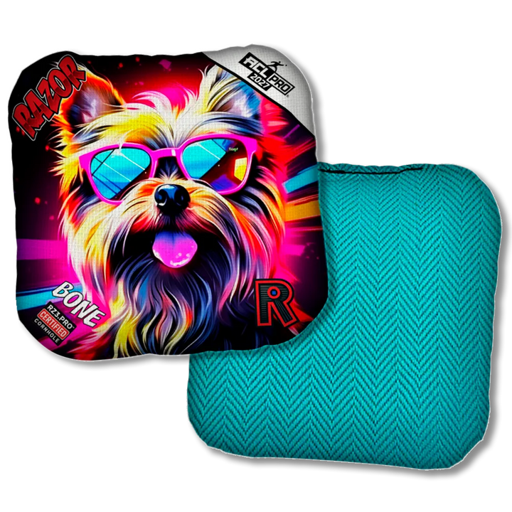 Bone PRO Yorkie Teal Back Product View
