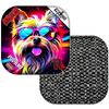 Yorkie / Black
