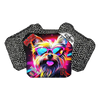 Yorkie / Black