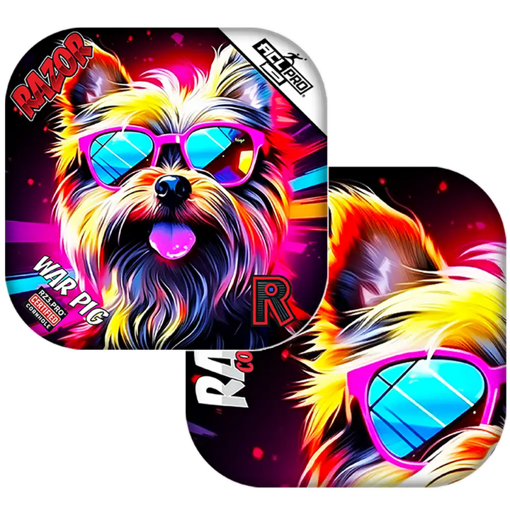 Cornhole bags with Colorful dog design with sunglasses on a white background