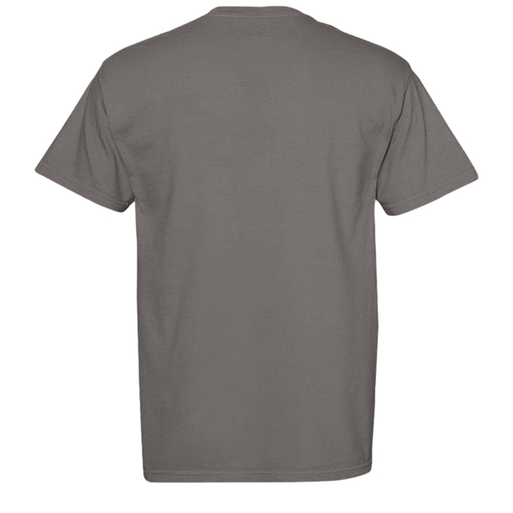 GREY - C1717 - BACK